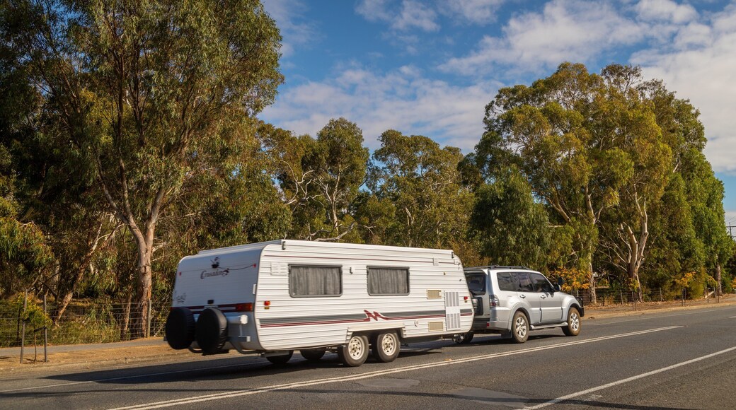 Yankalilla featuring off road driving and tranquil scenes