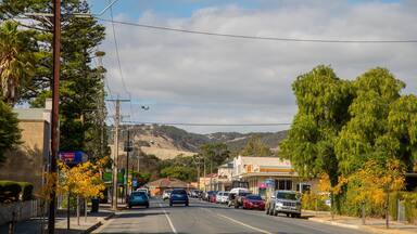 Yankalilla featuring a small town or village