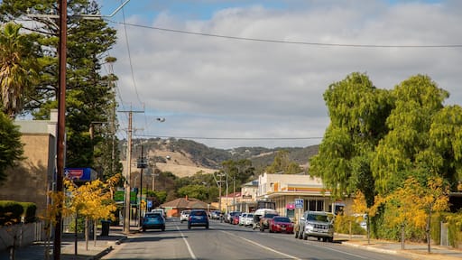 Yankalilla featuring a small town or village