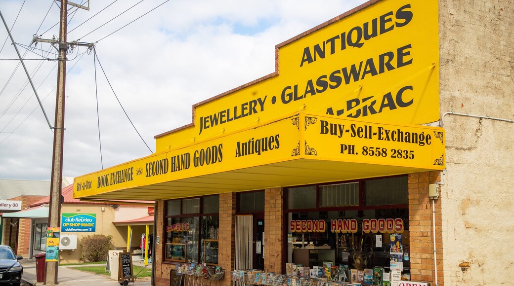 Yankalilla showing a small town or village and signage