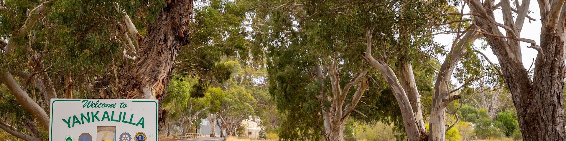 Yankalilla showing signage and tranquil scenes