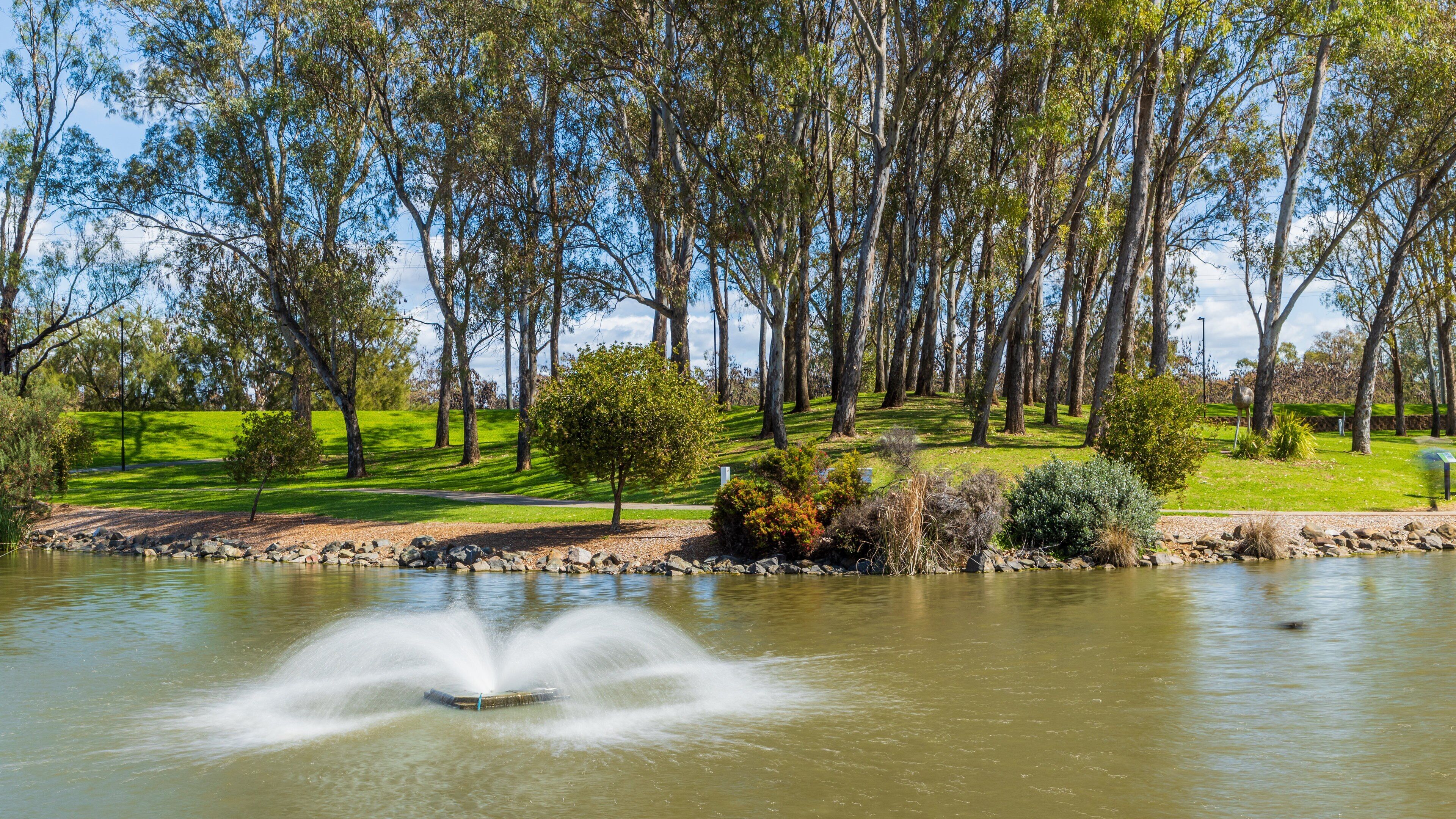 Bicentennial Park showing a fountain and a pond