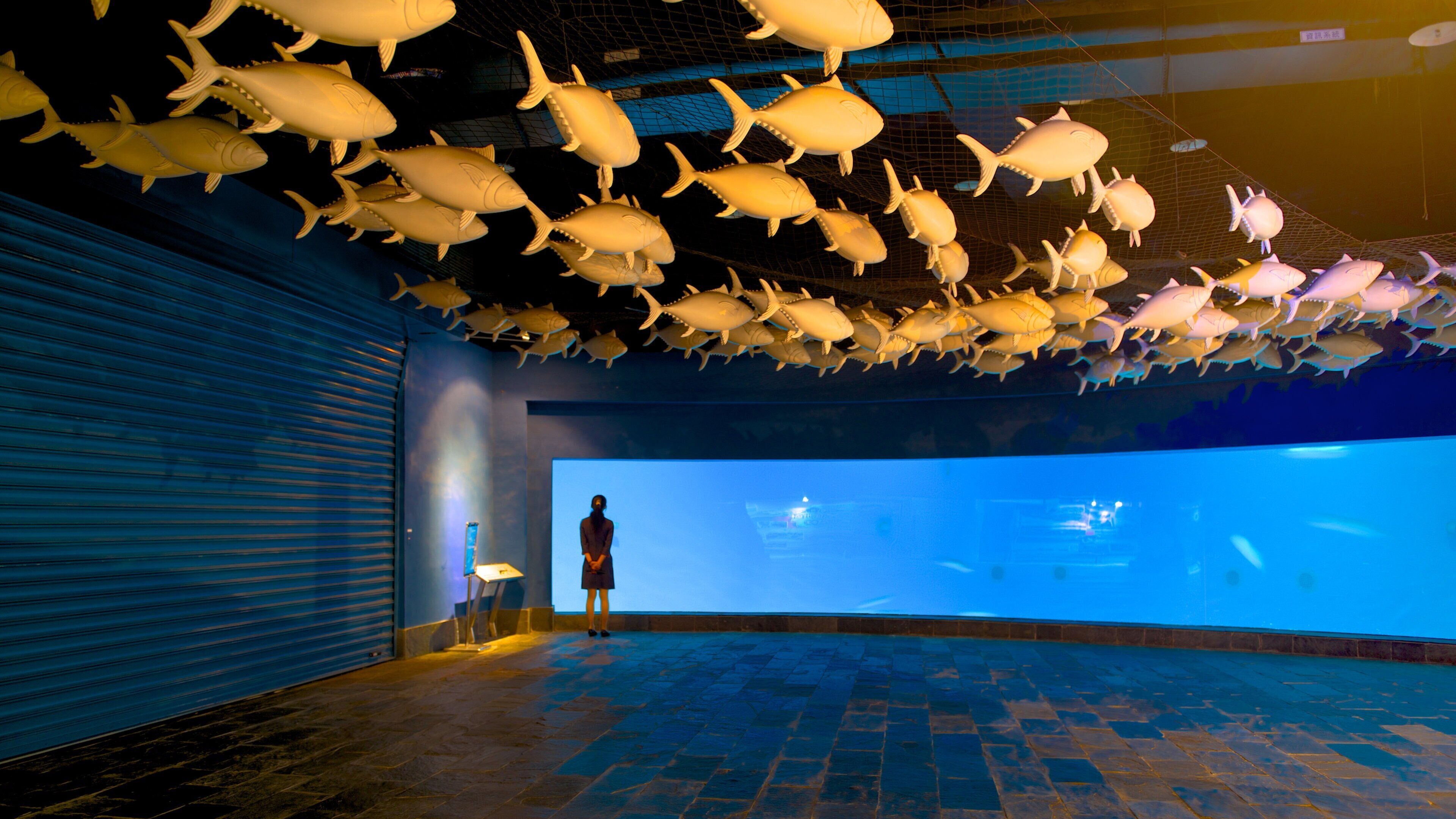 National Museum of Marine Biology and Aquarium which includes marine life as well as an individual female