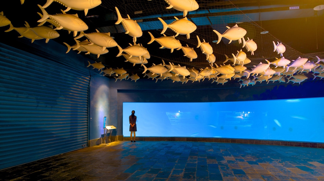 国立海洋生物博物館 どの含み 海洋生物 及び 女性 (個人)