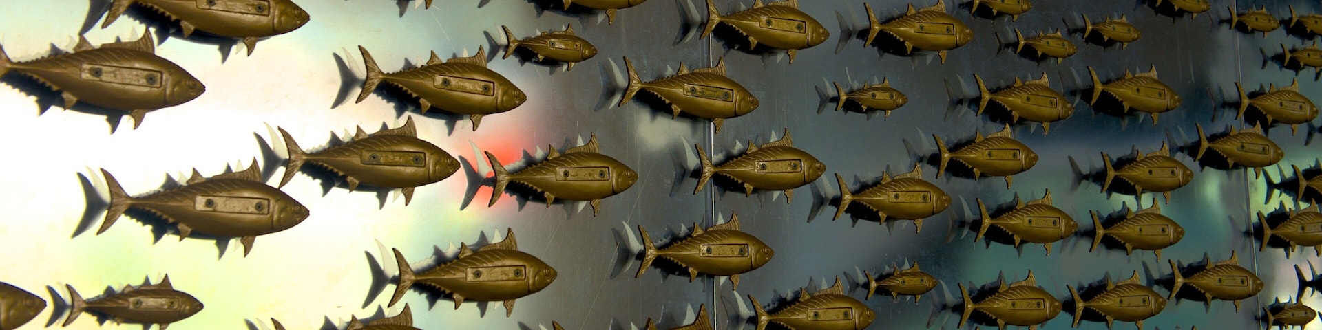 Una pared decorada con numerosos peces dorados de adorno.