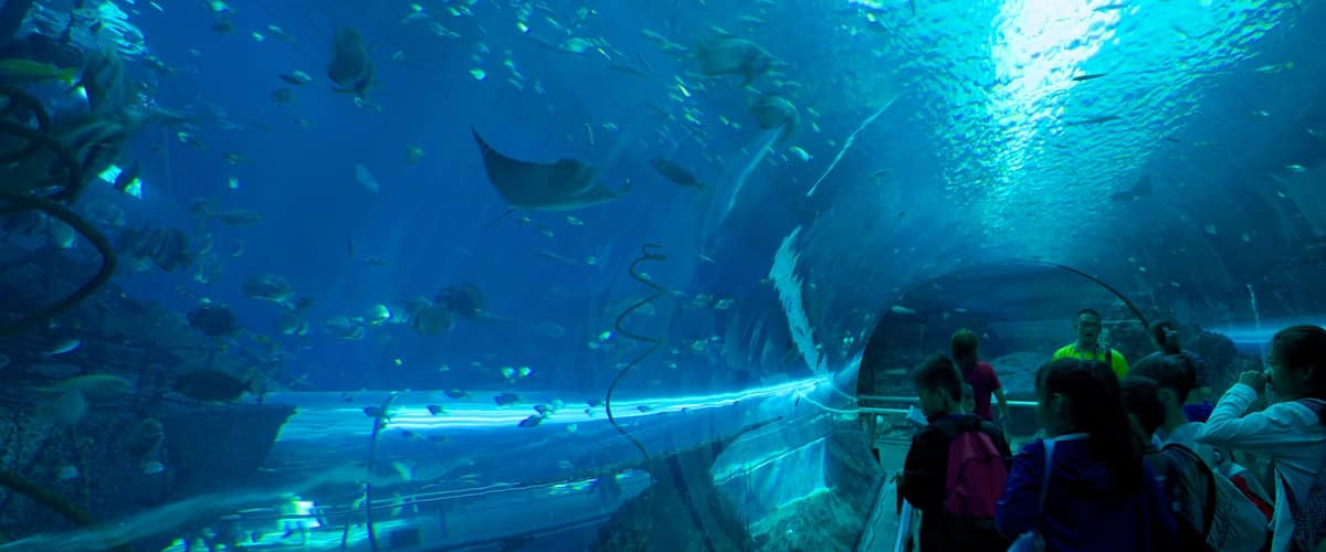 National Museum of Marine Biology and Aquarium which includes marine life