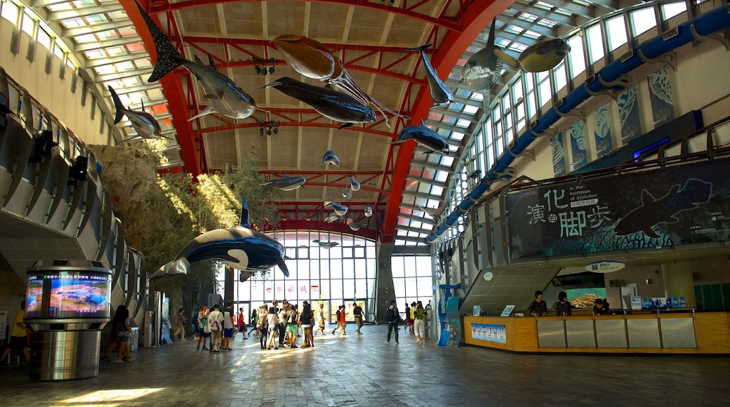 國立海洋生物博物館和水族館 其中包括 內部景觀