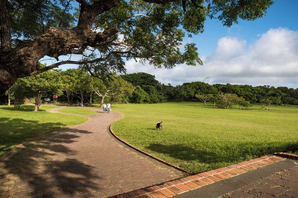 A park with a curved brick pathway, a grassy field, and a large tree with a curved trunk.