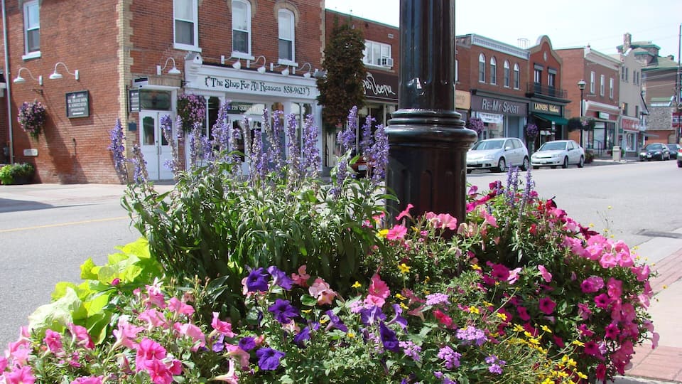 Streetsville showing a small town or village, flowers and street scenes