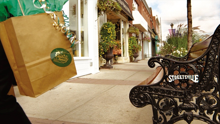 Streetsville showing signage, street scenes and shopping