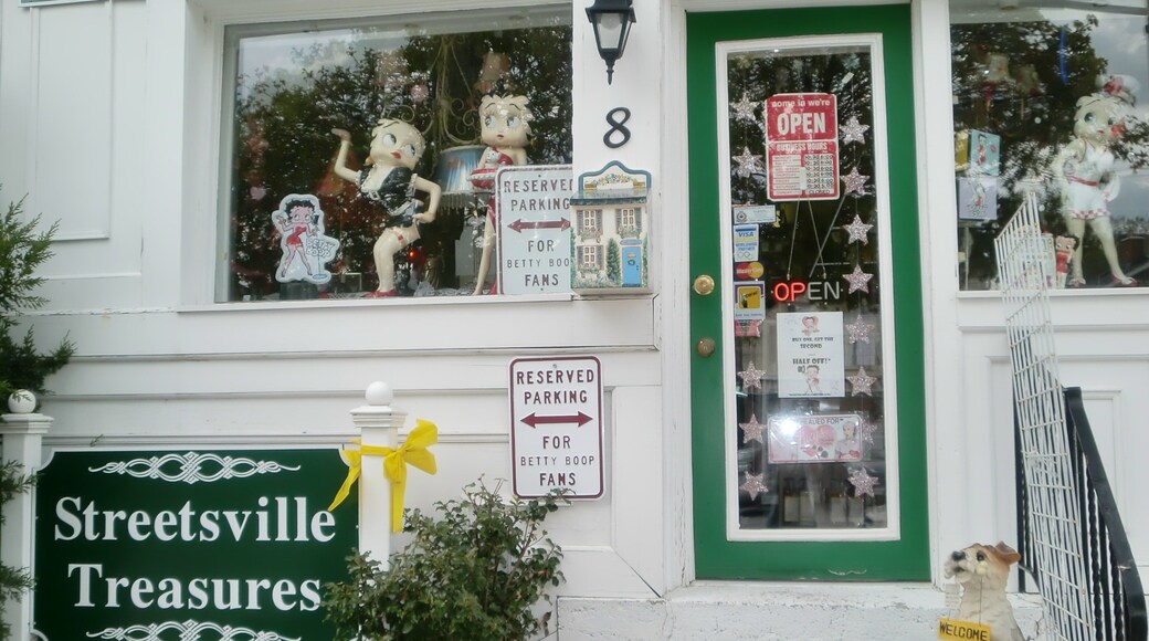 Streetsville which includes signage and shopping