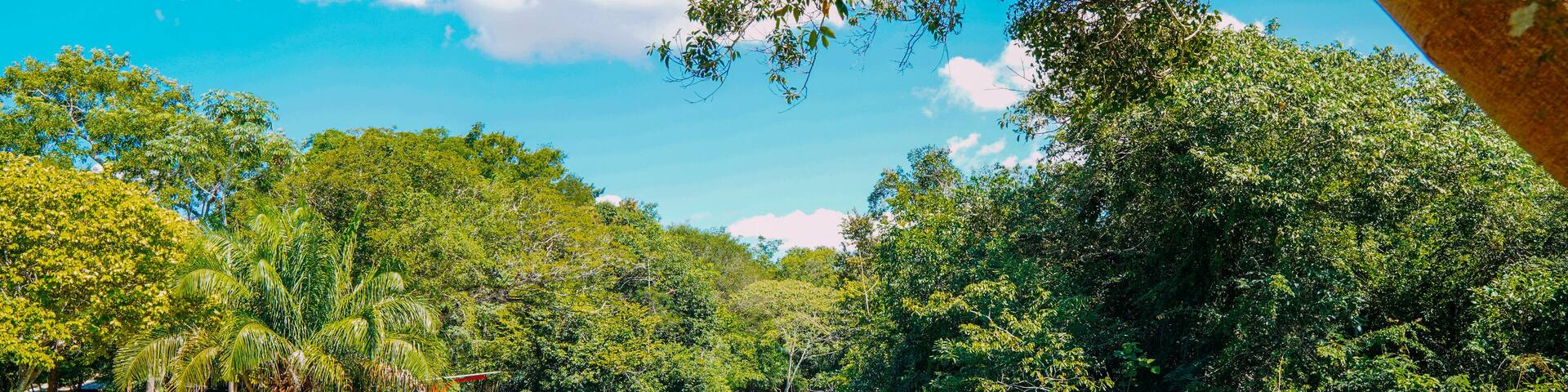 Partial view of the Formoso River, in the municipal resort, in Bonito, in Mato Grosso do Sul. The city is one of the main ecotourism destinations in Brazil