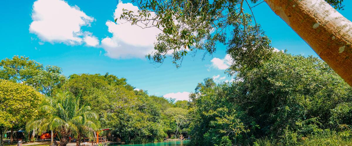 A turquoise river surrounded by lush greenery and a clear blue sky.