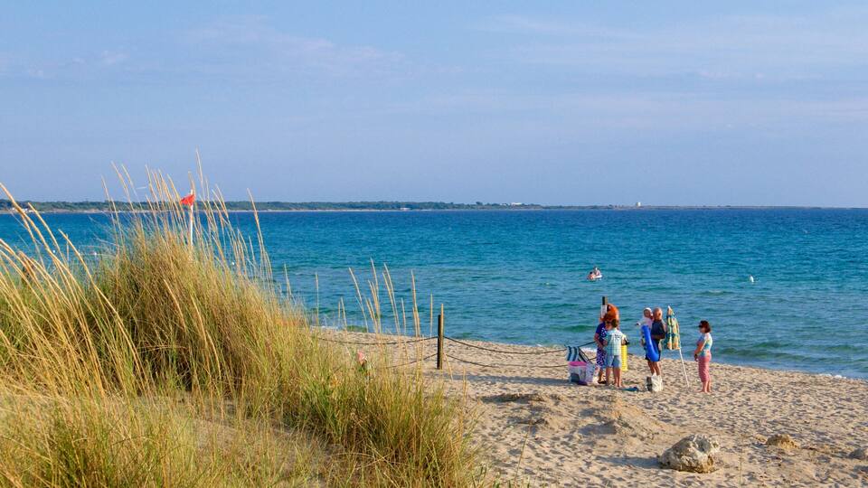 A beach with people standing by the water, tall grass, and a clear sky.