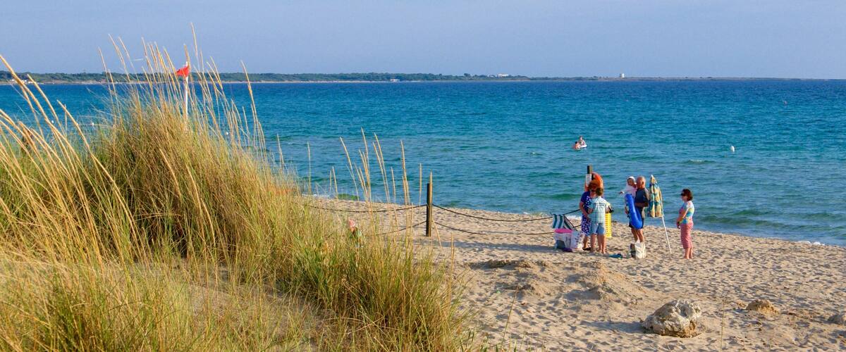 A beach with people standing by the water, tall grass, and a clear sky.