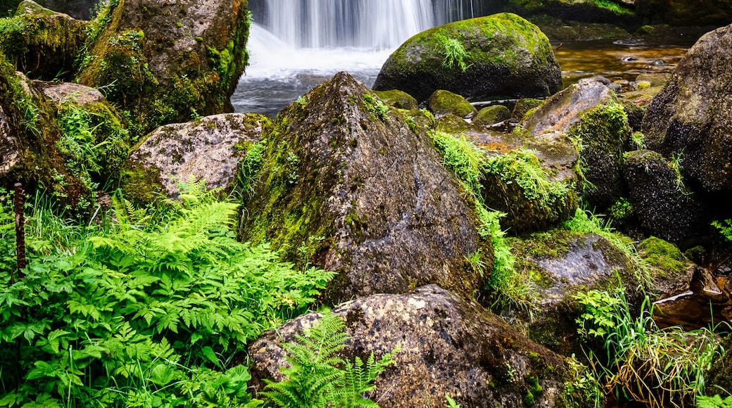 Thundering and foaming waterfalls of Gutach in Germany, Triberg