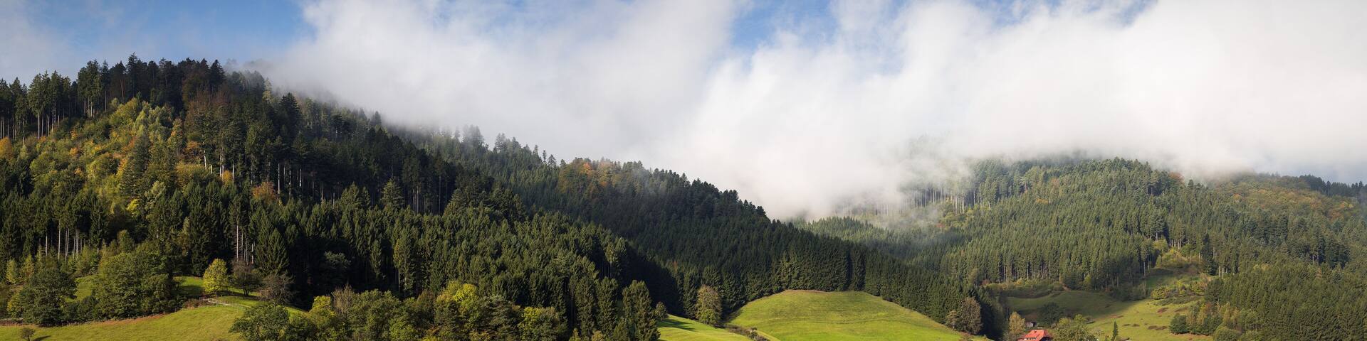 Schwarzwaldpanorama