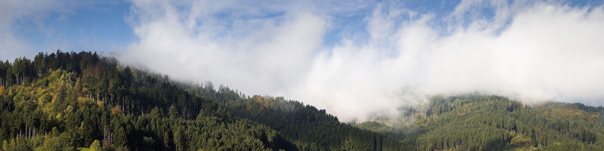 Schwarzwaldpanorama