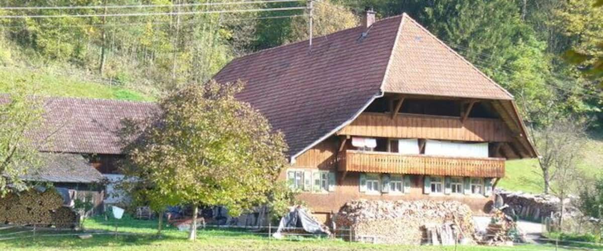 Vor Singersbach, Gutachtal