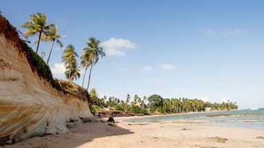 Japaratinga/AL - Brasil