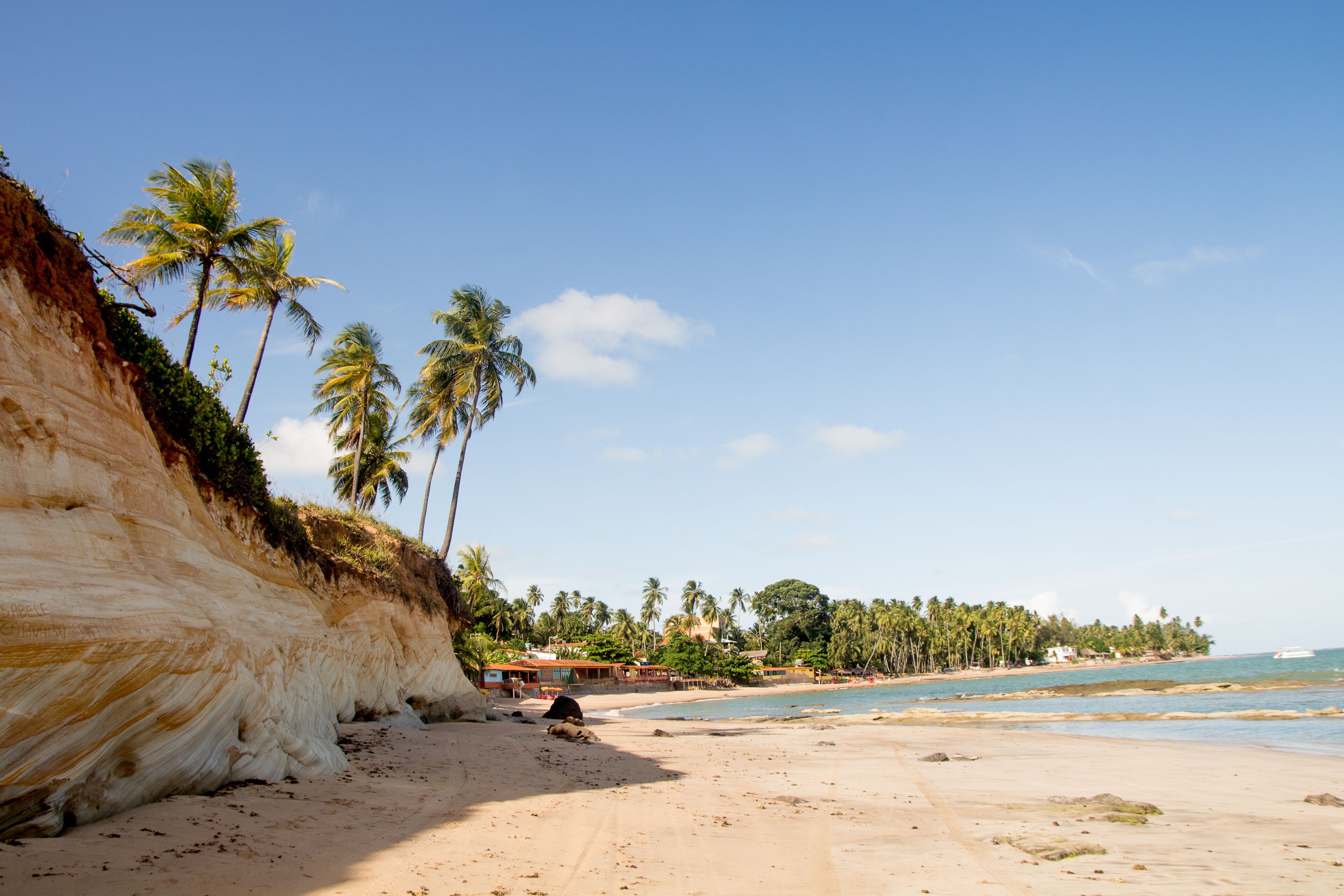 A beach with a white cliff, palm trees, and a clear blue sky.