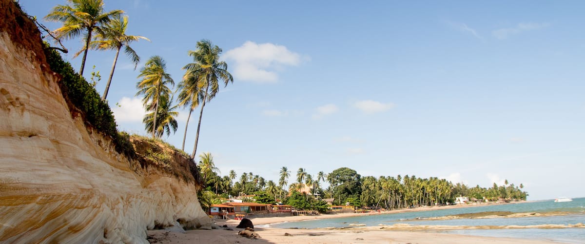 A beach with a white cliff, palm trees, and a clear blue sky.
