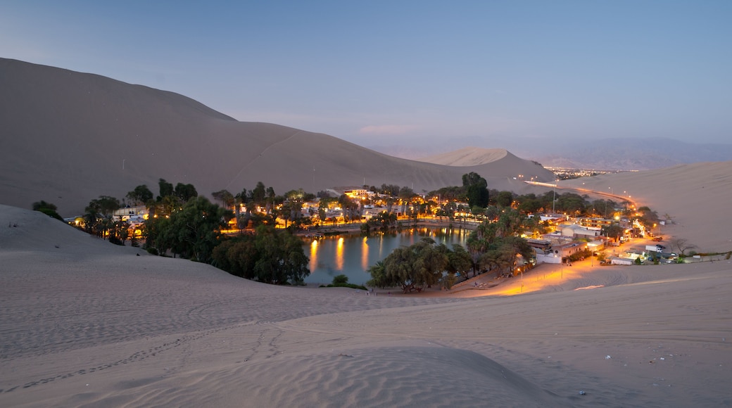 Oasi Huacachina