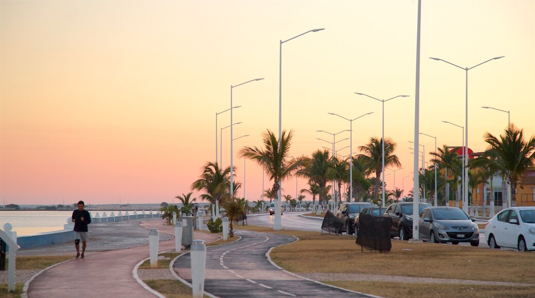 Campeches strandpromenad som inkluderar en park, en solnedgång och en hamn eller havsbukt