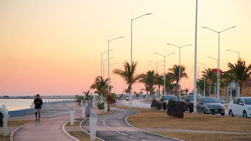 Malecón de Campeche que incluye una puesta de sol, una bahía o puerto y un parque