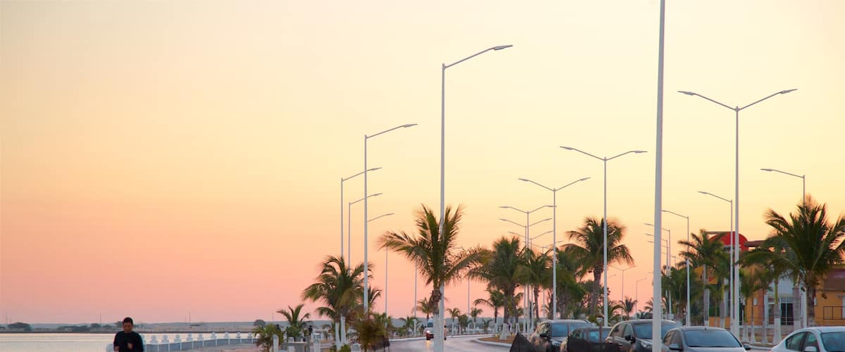 A sunset view of a coastal road with palm trees and parked cars.