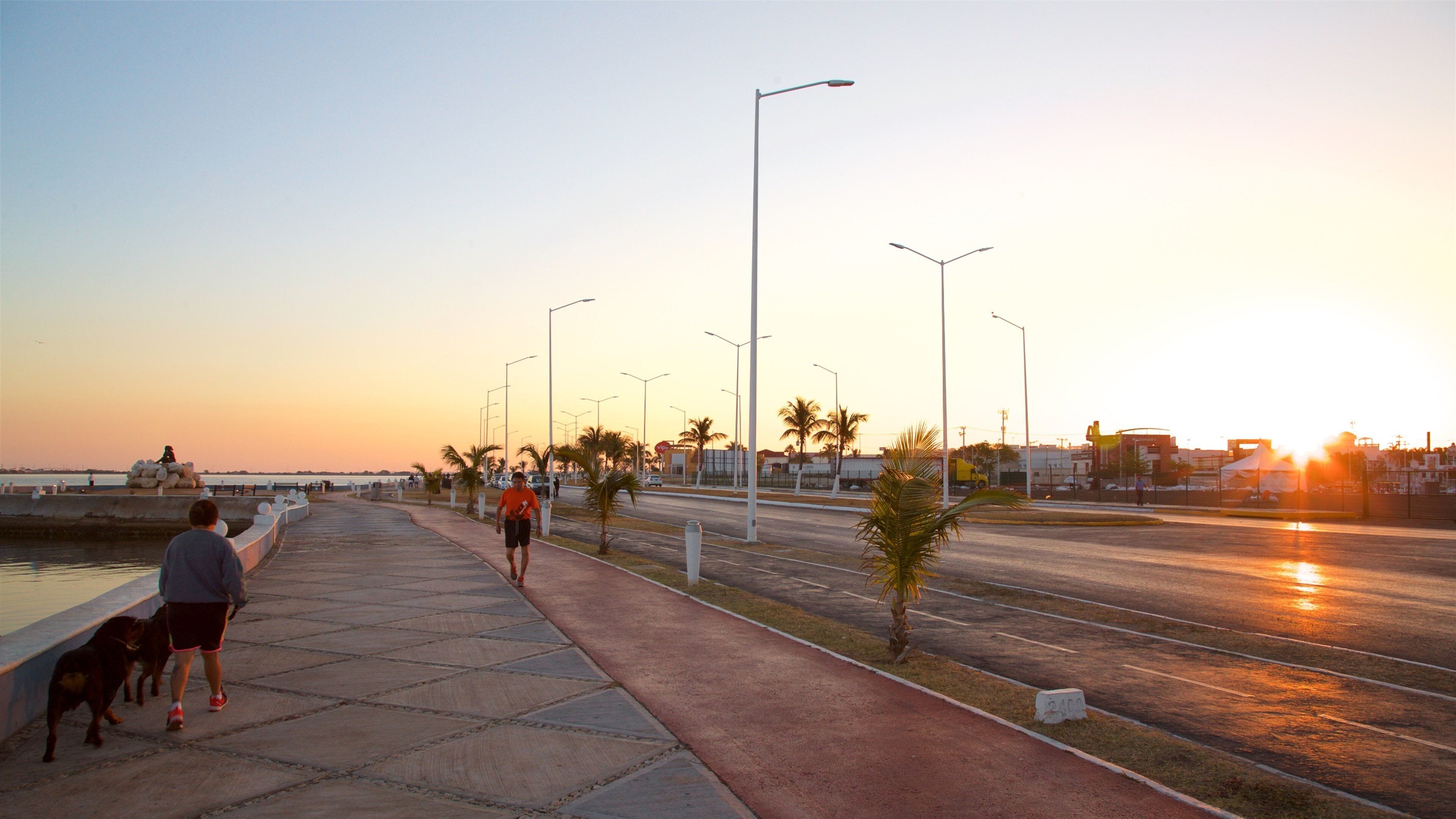Campeche Waterfront Promenade featuring cuddly or friendly animals, a sunset and hiking or walking