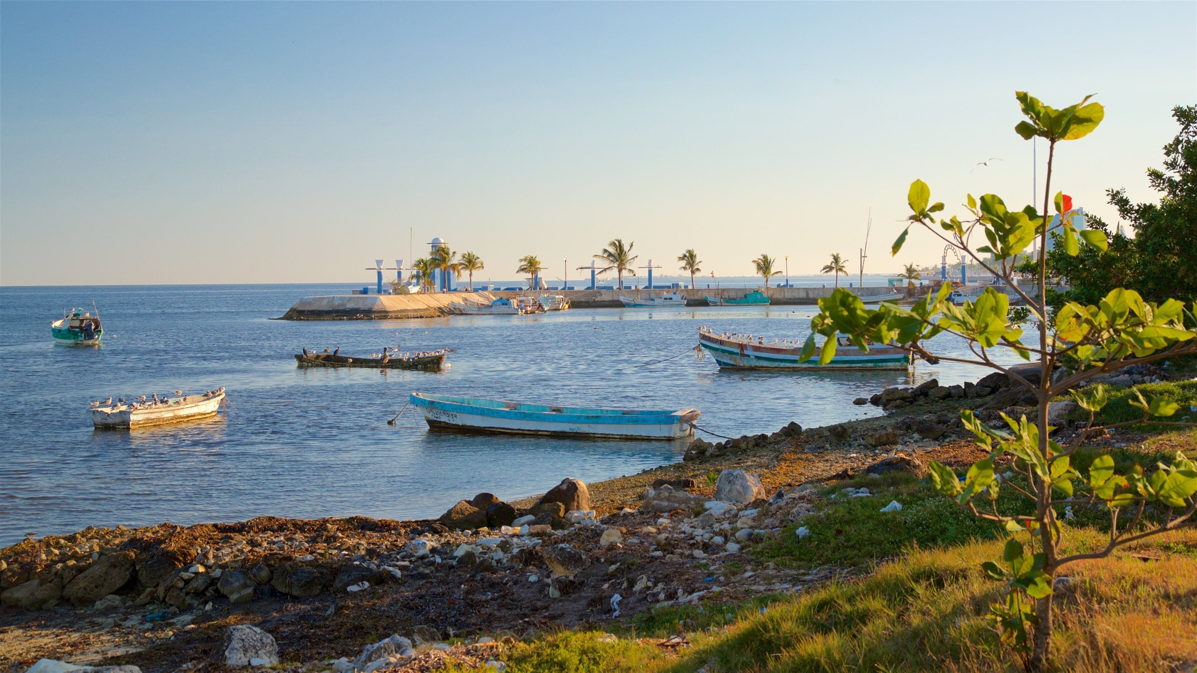 A coastal scene with boats, a lighthouse, palm trees, and a rocky shoreline.