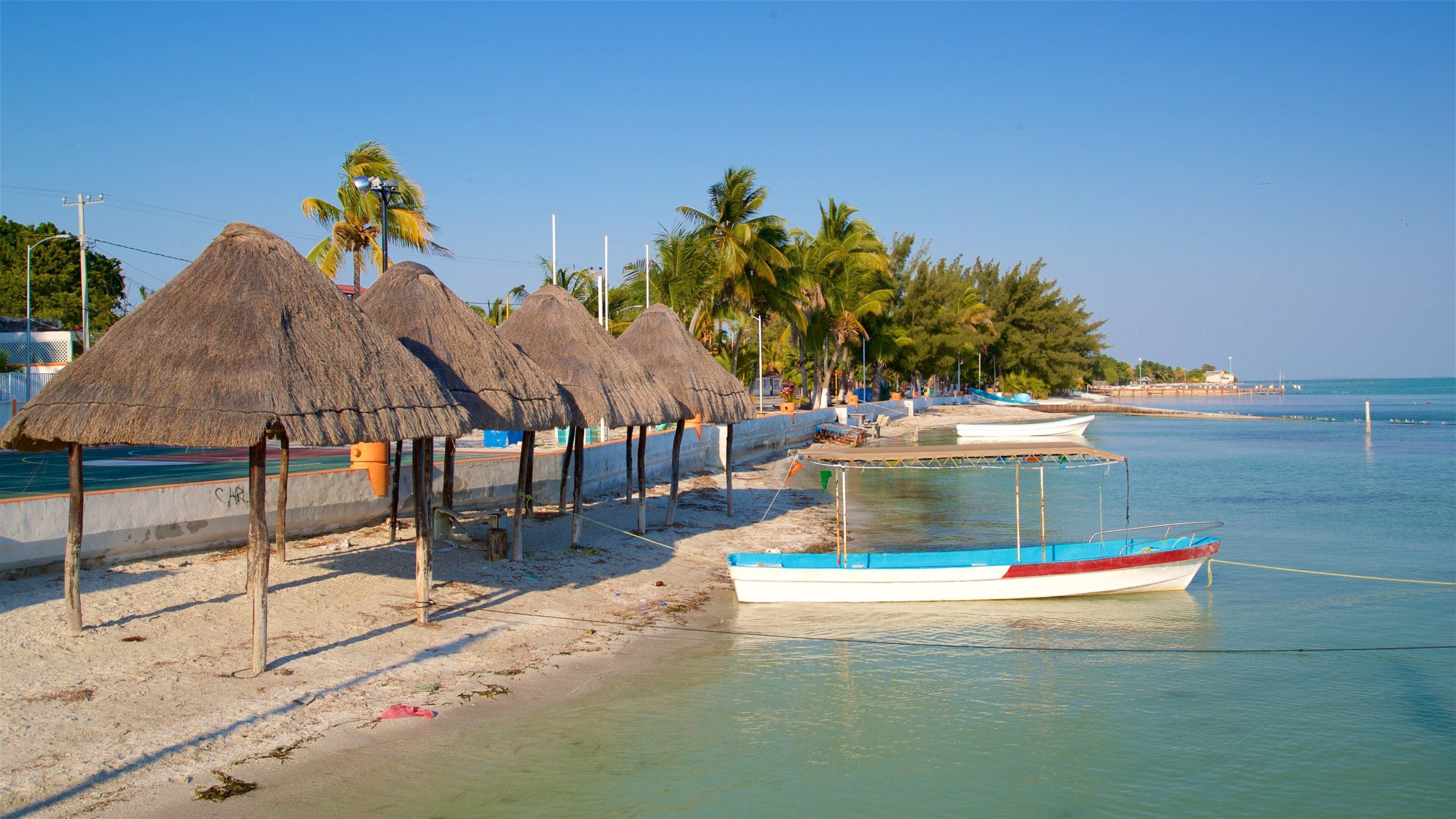 A beach with thatched umbrellas, a small dock, and a row of palm trees.