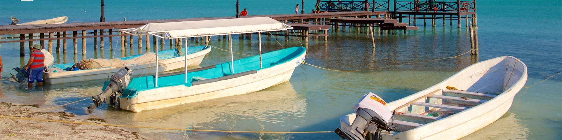 Isla de Aguada which includes a bay or harbor and general coastal views