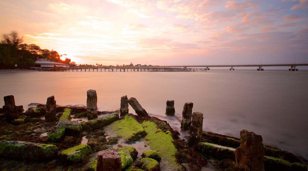 Ponte El Zacatal caratteristiche di vista della costa, ponte e tramonto