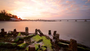 Puente El Zacatal que incluye vistas generales de la costa, un puente y una puesta de sol