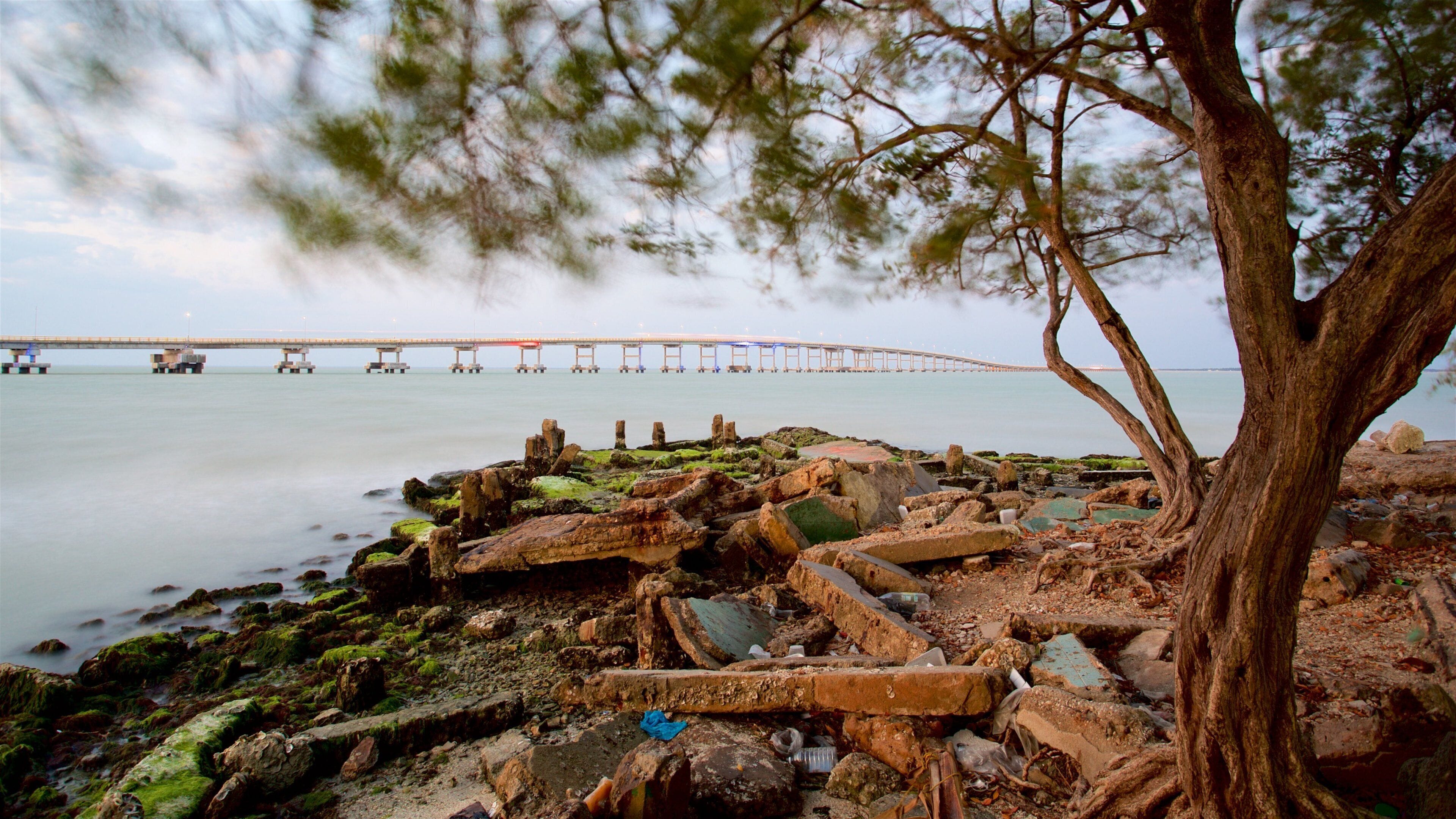 埃尔萨卡塔尔大桥