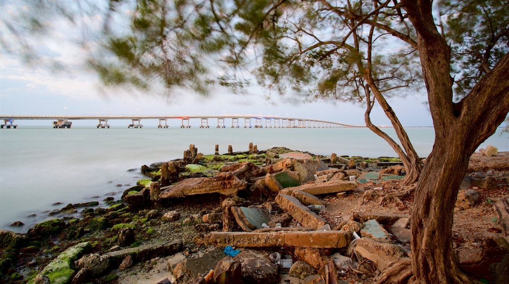 El Zacatal Bridge featuring general coastal views and a bridge