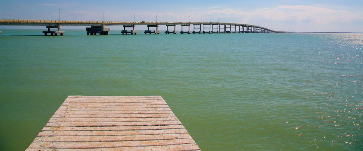 El Zacatal Bridge showing a bridge and general coastal views