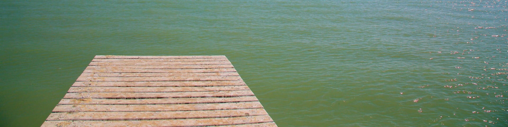 El Zacatal Bridge showing a bridge and general coastal views
