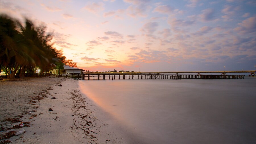 El Zacatalin silta featuring auringonlasku, silta ja hiekkaranta