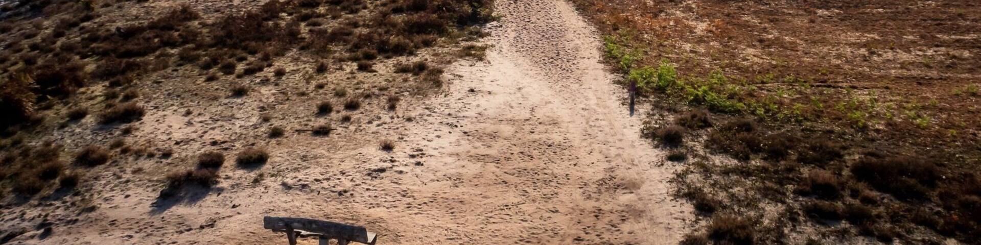 Great outdoors-spot in the dutch Limburg near the german border to hike, camp and mountainbike. There is a tower you can climb to have a nice virw from up high as well!