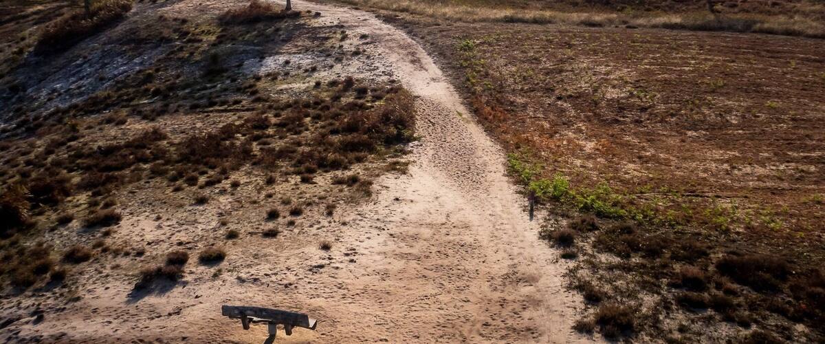A dirt path leading through a dry, open landscape with sparse vegetation and a few scattered trees.
