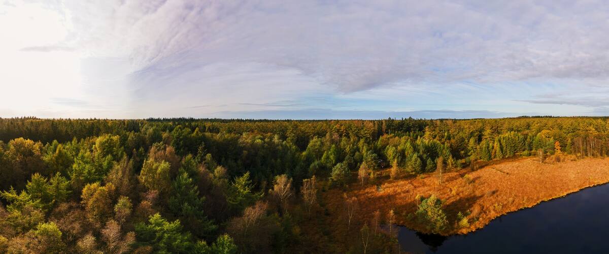 A forested landscape with a lake reflecting the trees.
