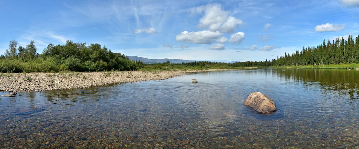 A river with clear water, a large rock in the middle, and a forest on both sides.