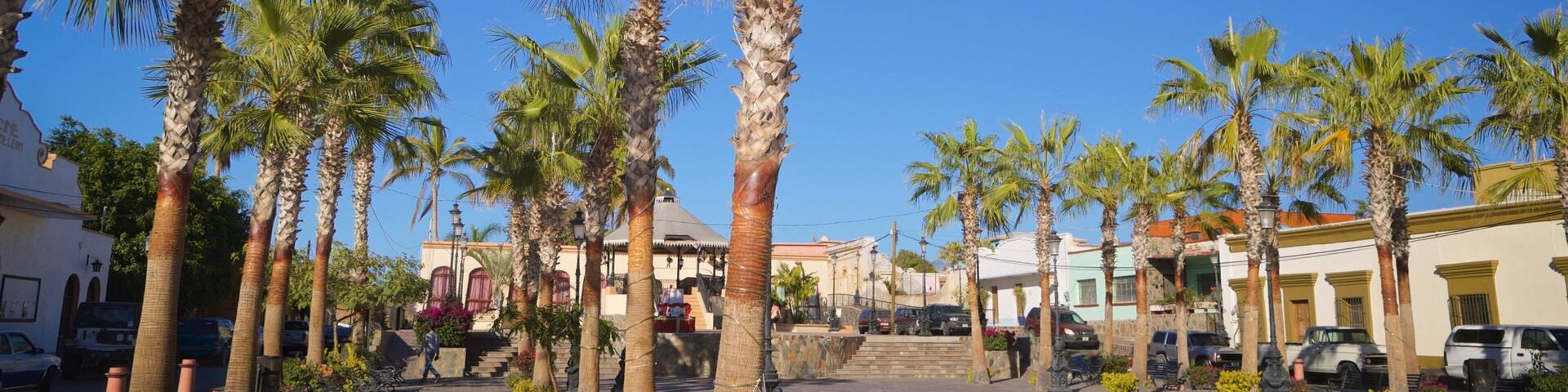 A sunny plaza with palm trees, benches, and buildings.