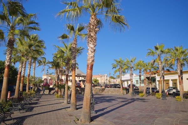 A sunny plaza with palm trees, benches, and buildings.
