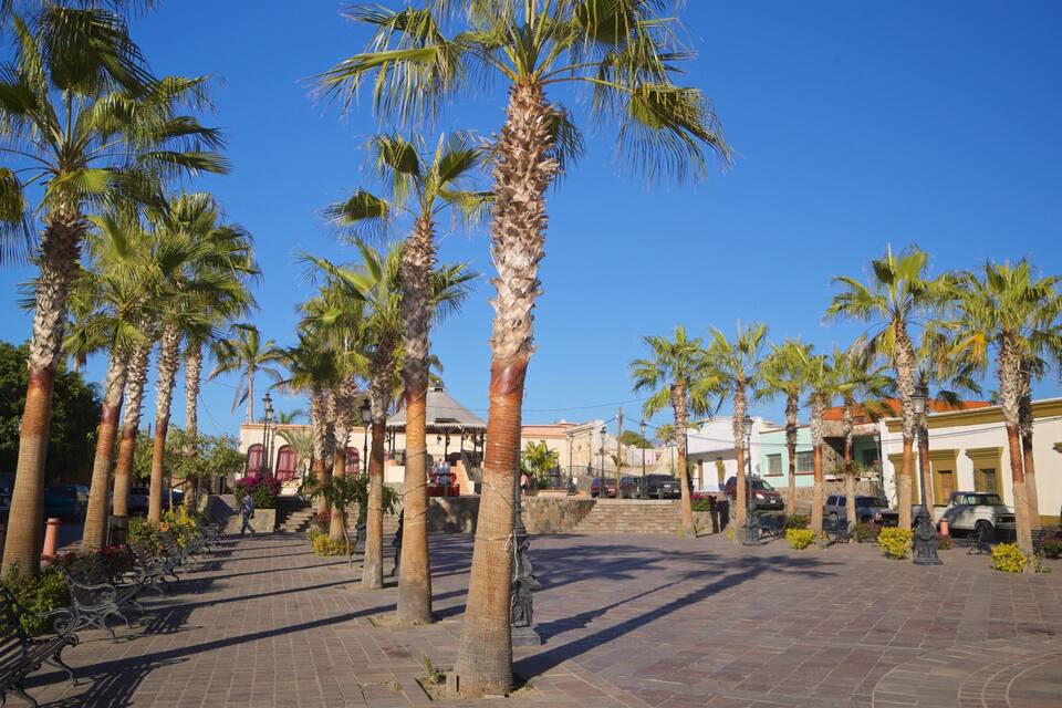 Ein sonniger Platz mit Palmen, Bänken und Gebäuden.