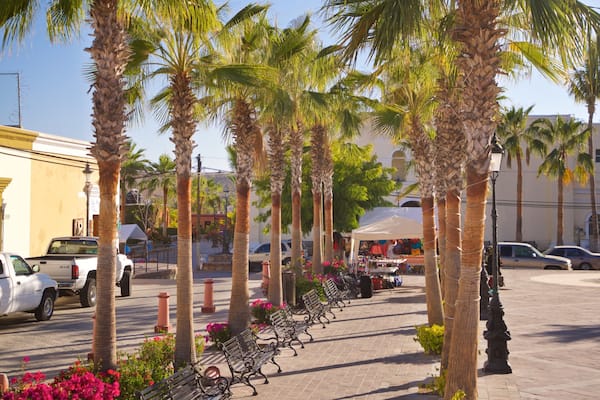 Todos Santos Plaza featuring a garden and wildflowers
