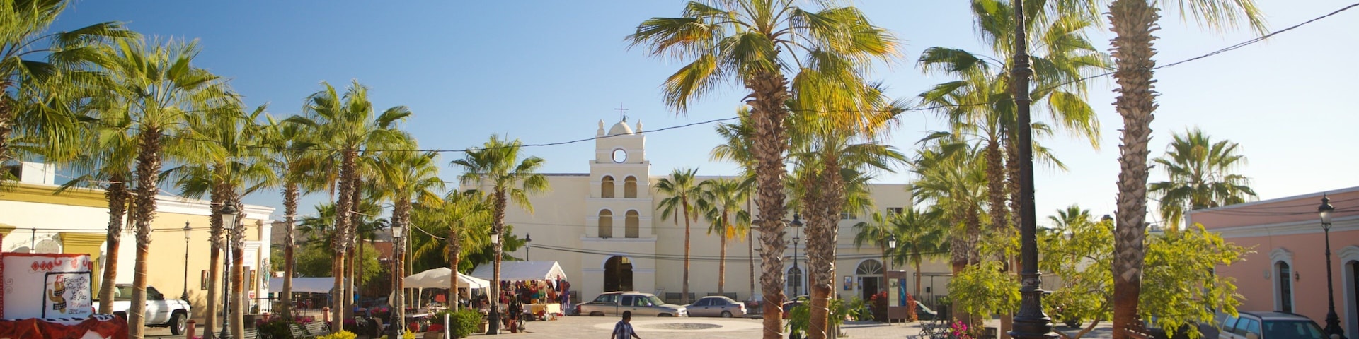 A sunny plaza with palm trees, a church, and a market.